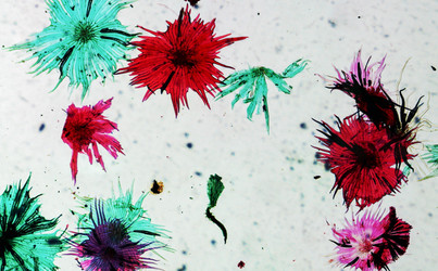 Similar image 6362752