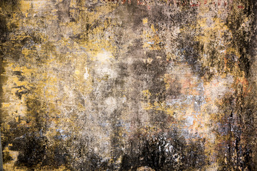 Similar image 6362822