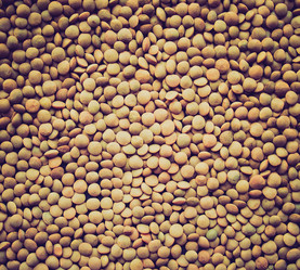 Similar image 6362895