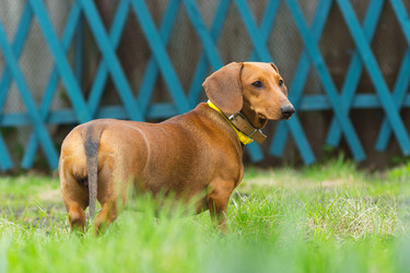 Similar image 6362945