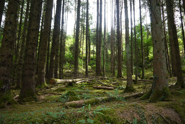 Similar image 6363038