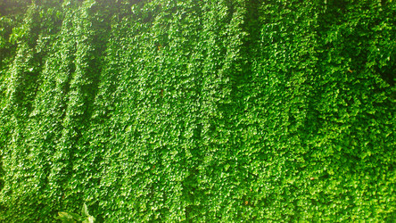 Similar image 6363058