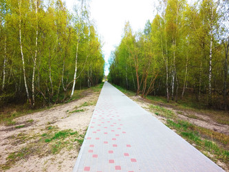 Similar image 6363064