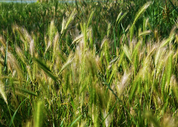 Similar image 6363131