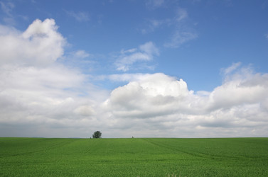 Similar image 6363253