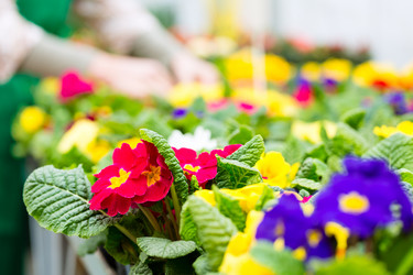 Similar image 6363337