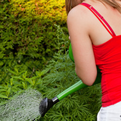 Similar image 6363916