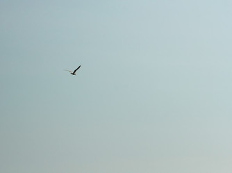 Similar image 6380382