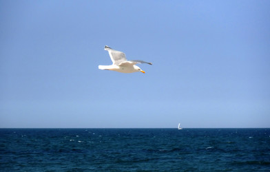 Similar image 6380383