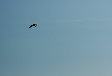 Similar image 6380384