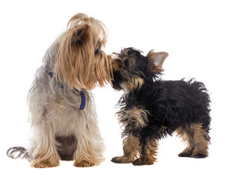 Similar image 6380385