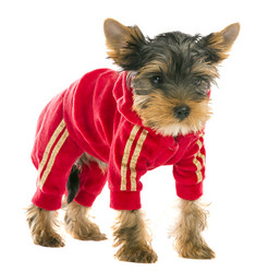 Similar image 6380387