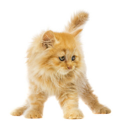 Similar image 6380388