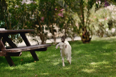 Similar image 6380393