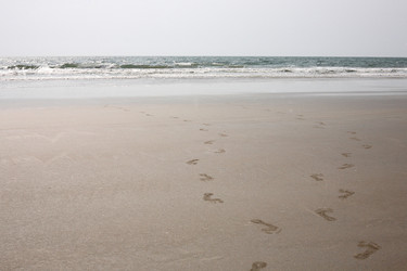 Similar image 6380399