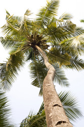 Similar image 6380400