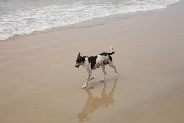 Similar image 6380401