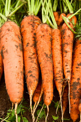 Similar image 6380537