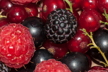 Similar image 6380540