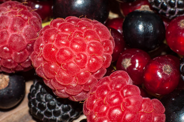 Similar image 6380545