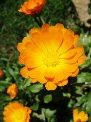 Similar image 6380549