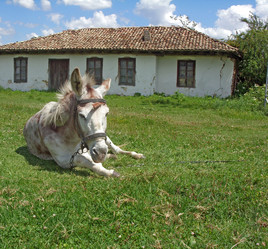 Similar image 6380552