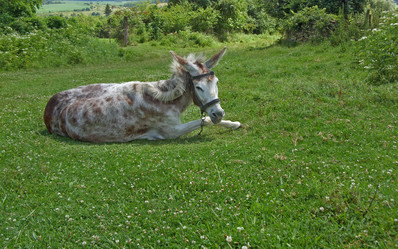 Similar image 6380584