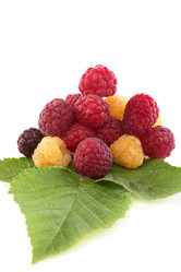 Similar image 6380821