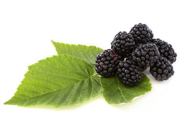 Similar image 6380865