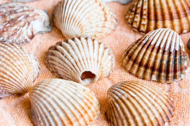 Similar image 6381079