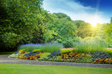 Similar image 6381088