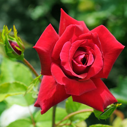 Similar image 6381099