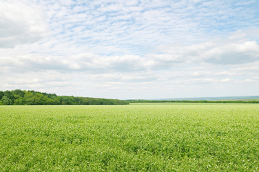 Similar image 6381102