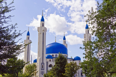 Similar image 6381145