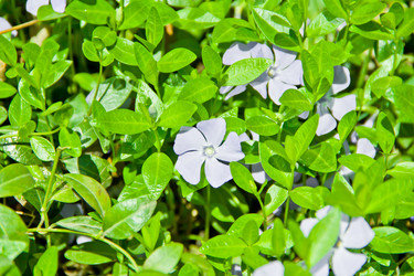 Similar image 6381155