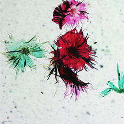 Similar image 6381597