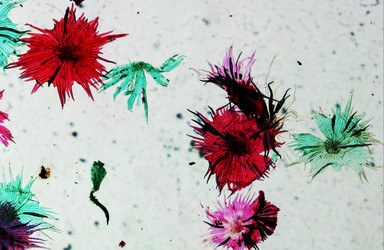 Similar image 6385831