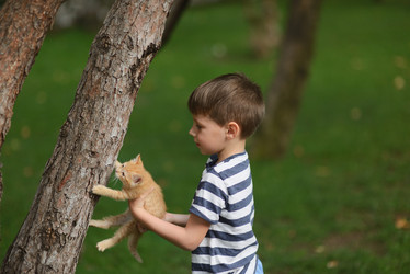 Similar image 6406494