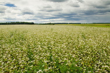 Similar image 6406556