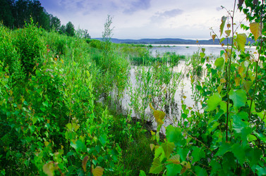 Similar image 6406560