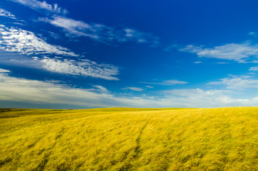 Similar image 6406566