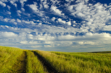 Similar image 6406570