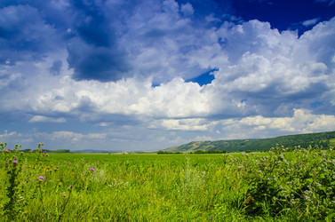 Similar image 6406574