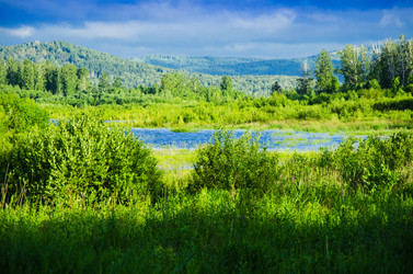 Similar image 6406577