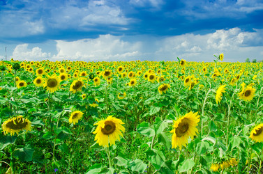 Similar image 6406579