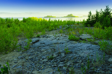 Similar image 6406581