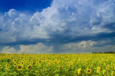 Similar image 6406582