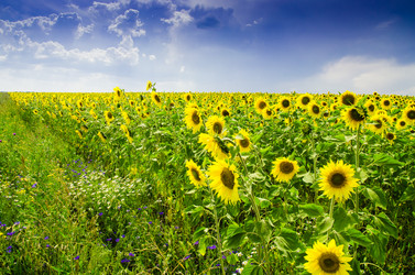 Similar image 6406584