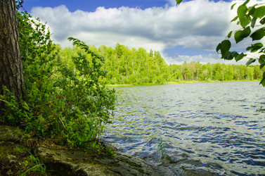 Similar image 6406585