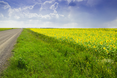 Similar image 6406586